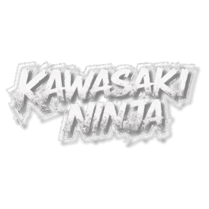 KAWASAKI NINJA