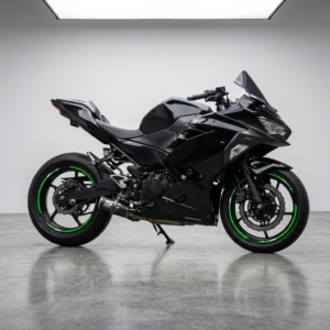 Kawasaki Ninja  250 | GP Racing 1000